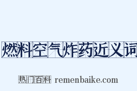 燃料空气炸药近义词是什么意思的图片